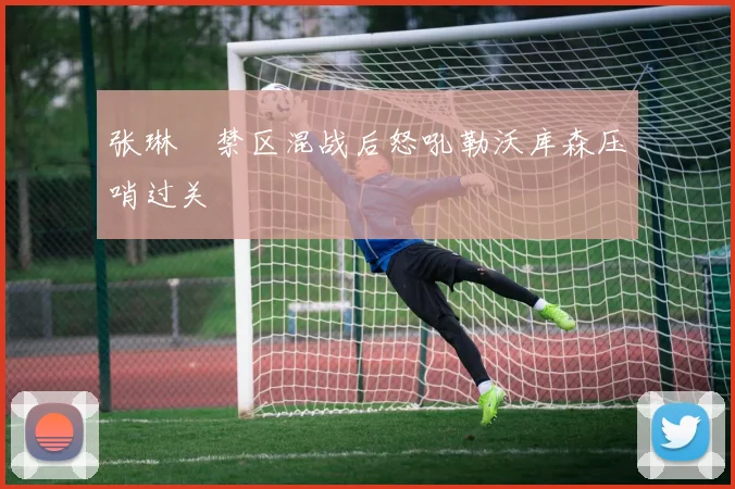 张琳芃禁区混战后怒吼勒沃库森压哨过关
