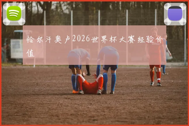 恰尔汗奥卢2026世界杯大赛经验价值