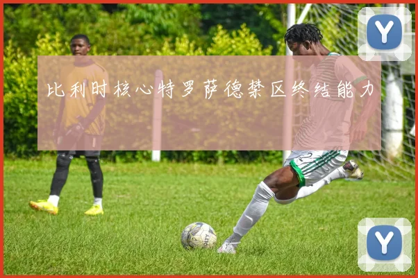 比利时核心特罗萨德禁区终结能力