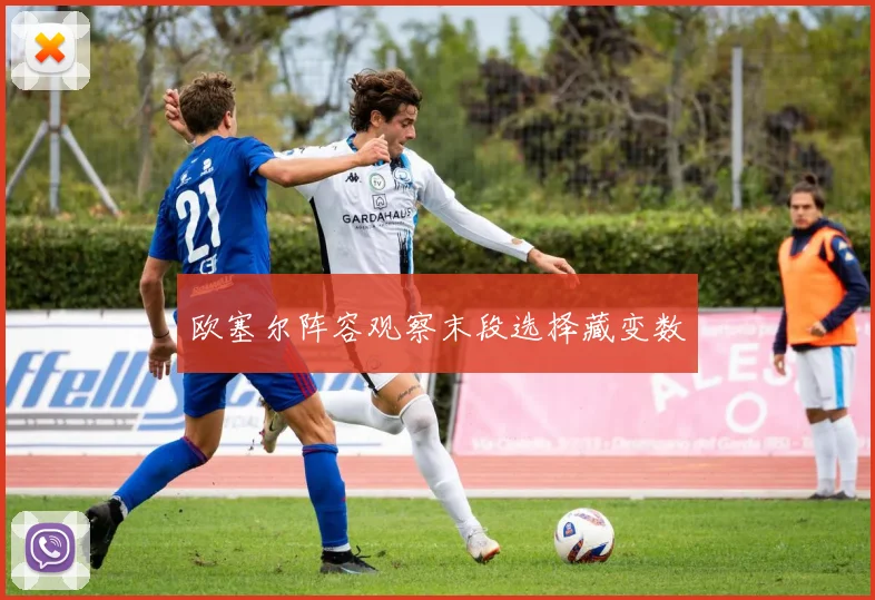 欧塞尔阵容观察末段选择藏变数