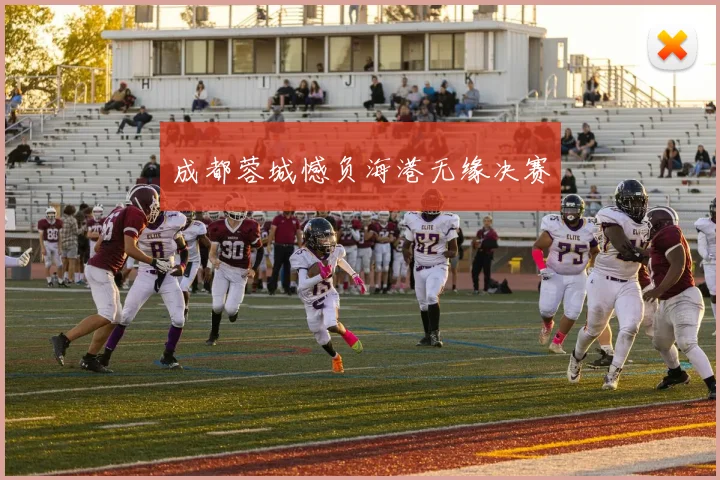 成都蓉城憾负海港无缘决赛