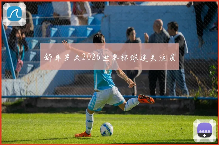 舒库罗夫2026世界杯球迷关注度